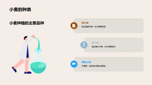 小麦产业探秘