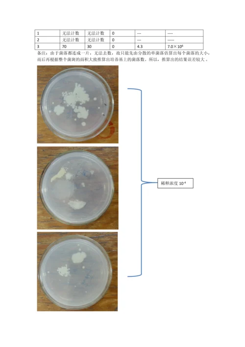 环境中微生物的检测和分离纯化.docx