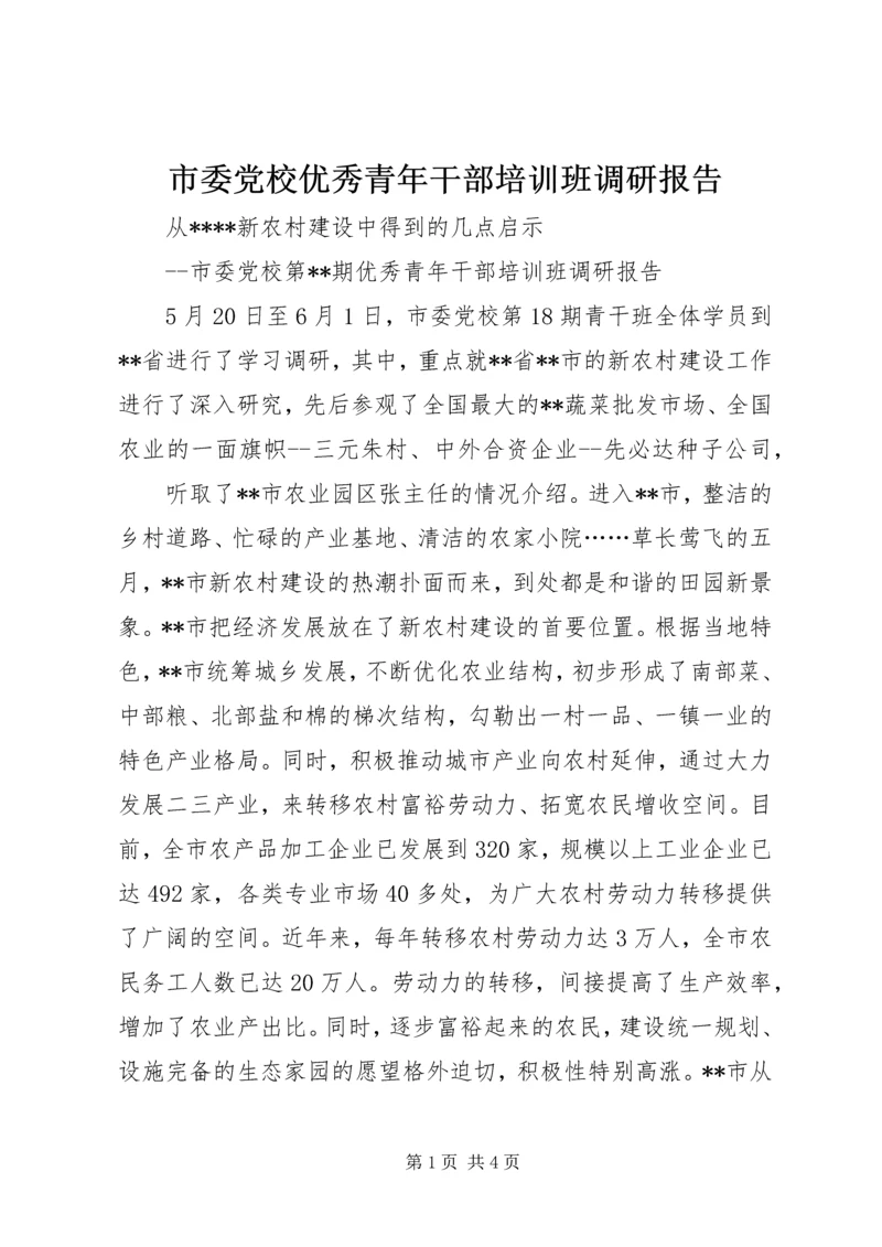 市委党校优秀青年干部培训班调研报告.docx