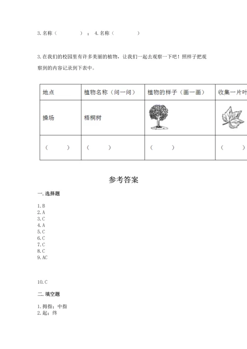 教科版科学一年级上册期末测试卷（精选题）.docx