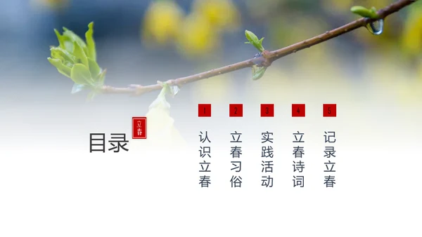 立春简约风二十四节气实践教学课件通用PPT模板