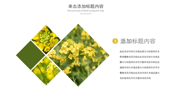 春天乡村旅游油菜花风景油菜花田PPT模板