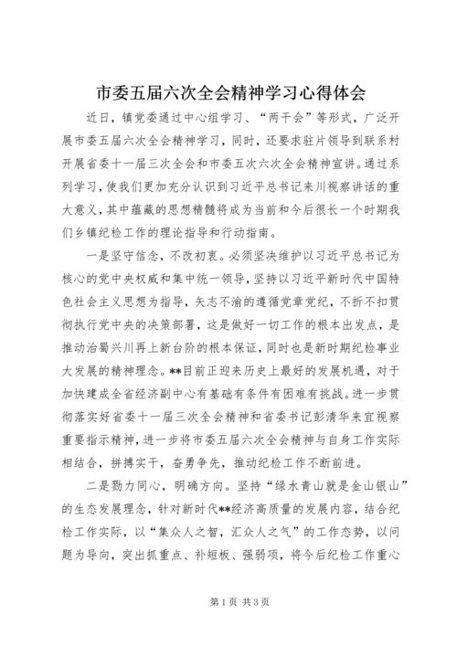 市委五届六次全会精神学习心得体会.docx