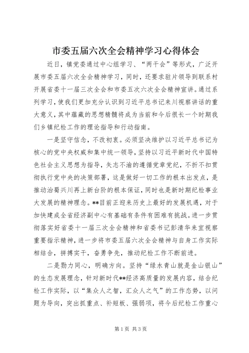 市委五届六次全会精神学习心得体会.docx
