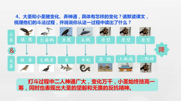 第21课《小圣施威降大圣》课件-2024-2025学年七年级语文上册同步备课优质课件（统编版2024