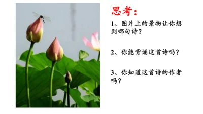 第六单元 课外古诗词诵读 过松源晨炊漆公店（其五）课件