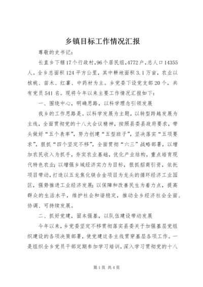 乡镇目标工作情况汇报.docx