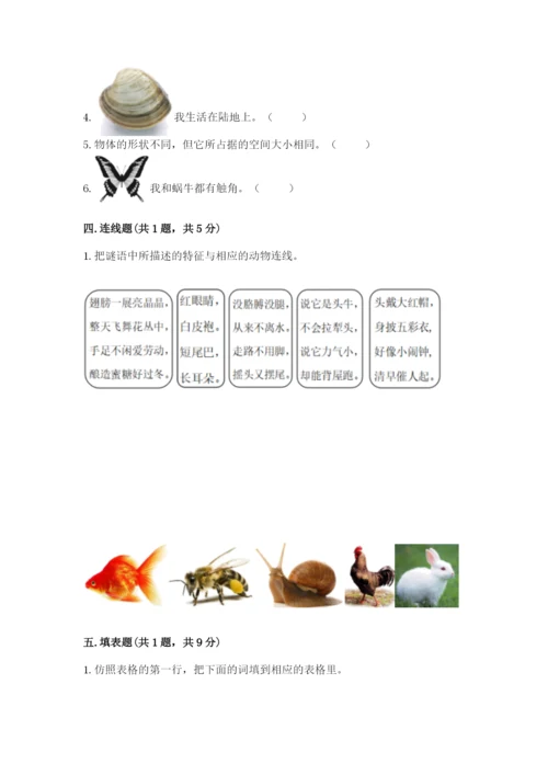 教科版一年级下册科学期末测试卷及完整答案【全国通用】.docx