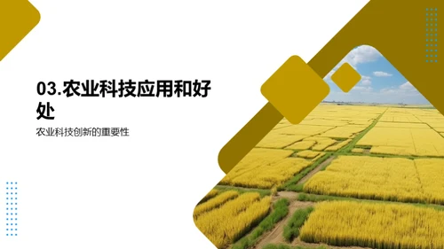 农科创新之光