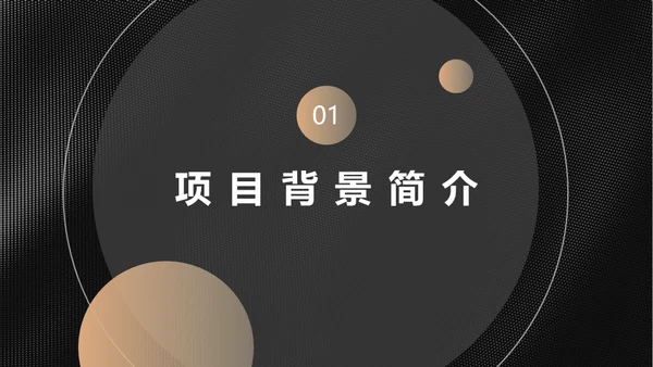 黑金商业计划投资收益报告通用PPT模板