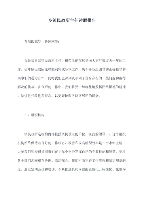乡镇民政所主任述职报告