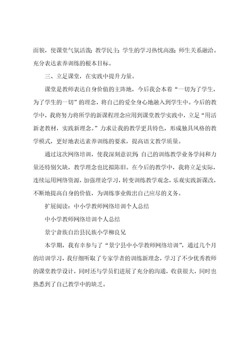 中小学教师网络培训个人总结