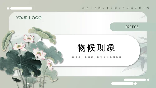 绿色中国风小满节气介绍通用模板