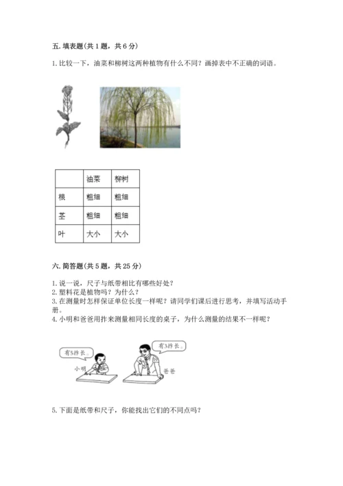 教科版一年级上册科学期末测试卷及答案参考.docx