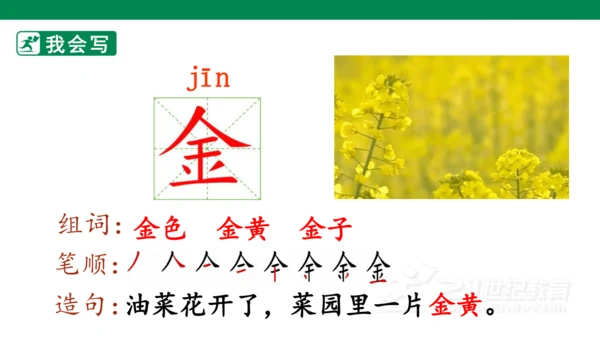 课文3 四个太阳