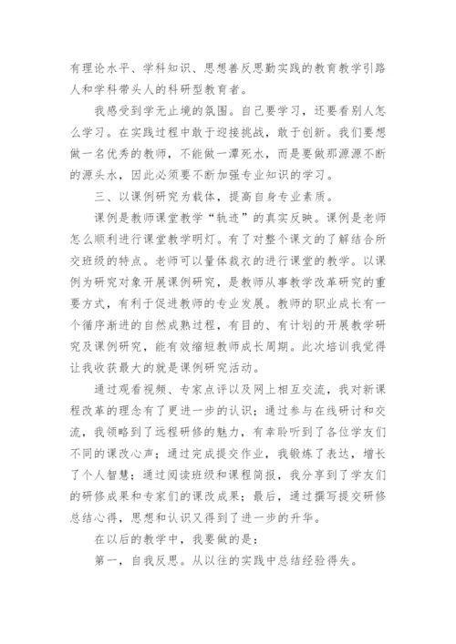 英语教师国培个人研修总结.docx