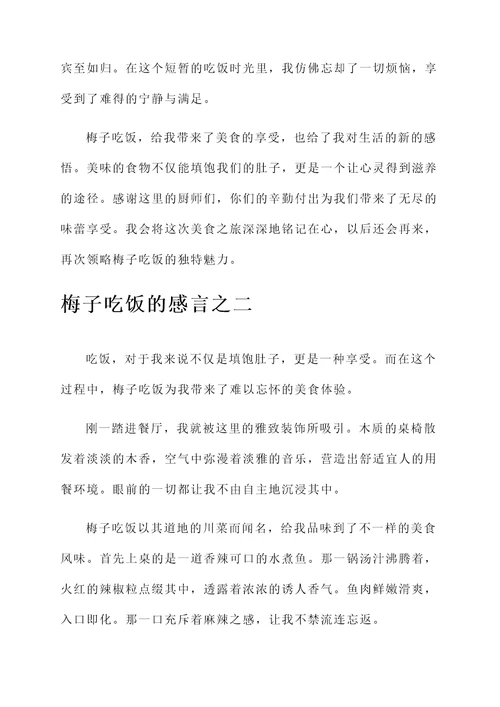 梅子吃饭的感言