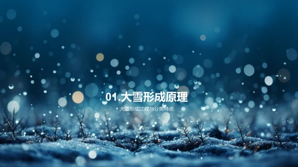 大雪天气的应对策略