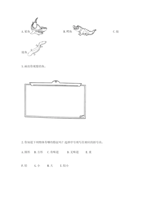 教科版小学科学一年级下册期末测试卷附参考答案（综合题）.docx