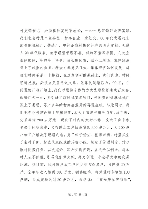 村党支部书记访谈材料 (5).docx