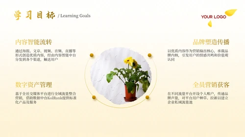 黄色古代文学诗词赏析PPT模板