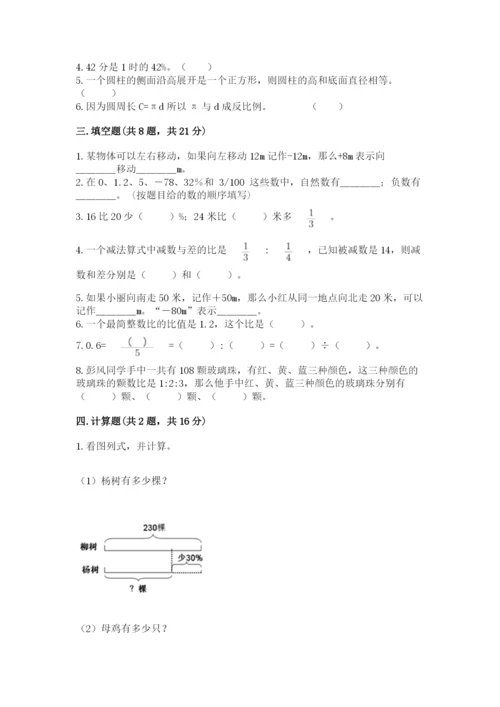 南阳市淅川县六年级下册数学期末测试卷1套.docx