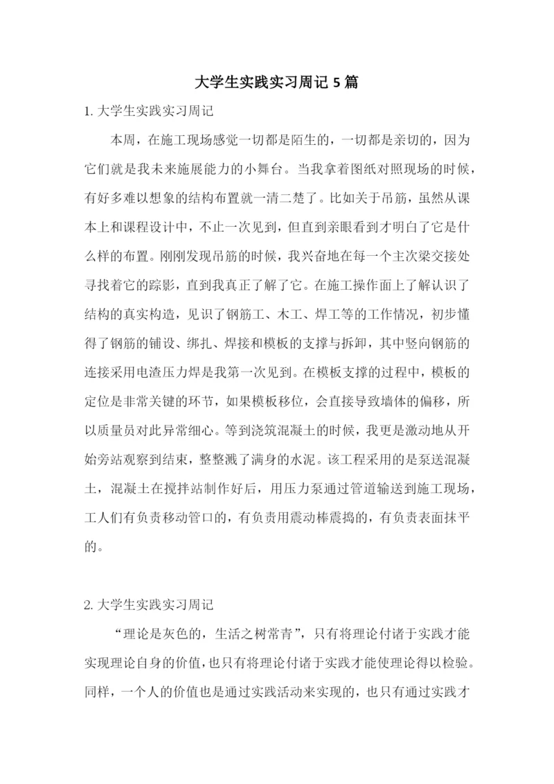 大学生实践实习周记5篇.docx