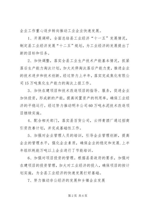 经济局上半年工作总结和下半年工作安排.docx