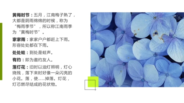 第六单元 课外古诗词诵读 约客 课件
