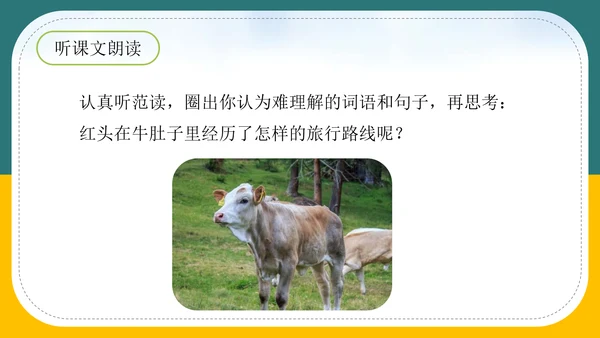 小学语文《在牛肚子里旅行》教育教学PPT课件