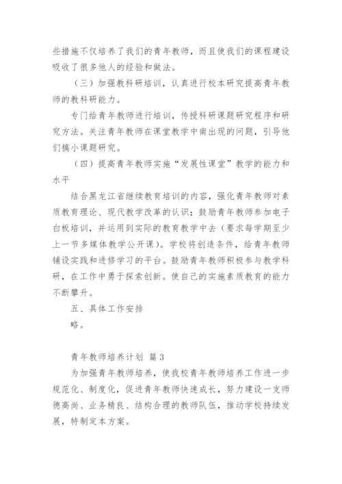 青年教师培养计划.docx