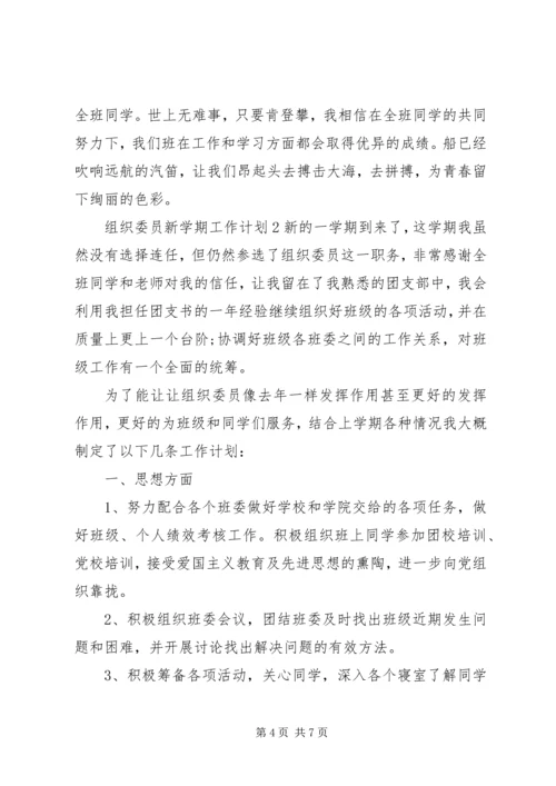 组织委员20XX年工作计划.docx