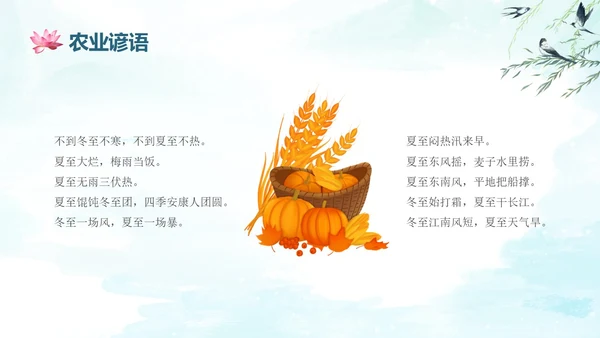 蓝绿色水墨国风夏至二十四节气知识科普PPT