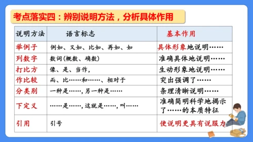 期末专项复习 说明文阅读复习（课件）-2024-2025学年语文五年级上册（统编版）