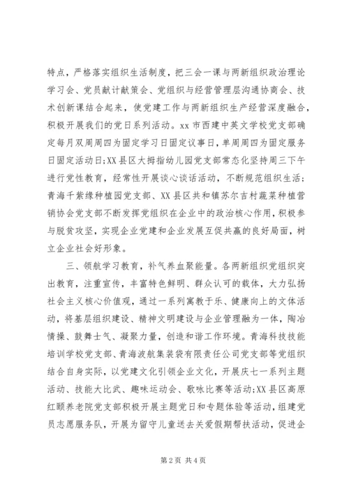 开展党员教育“领航计划”工作总结.docx