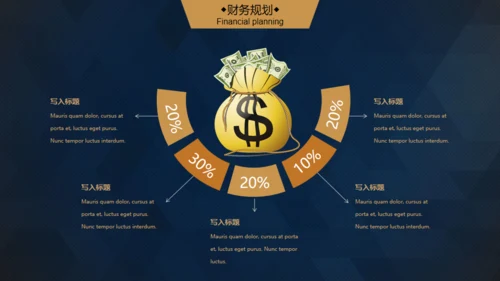轻奢质感逼格创业计划书通用PPT模版