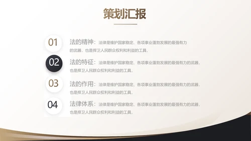 治法宪法政府法律年终工作总结汇报动态PPT