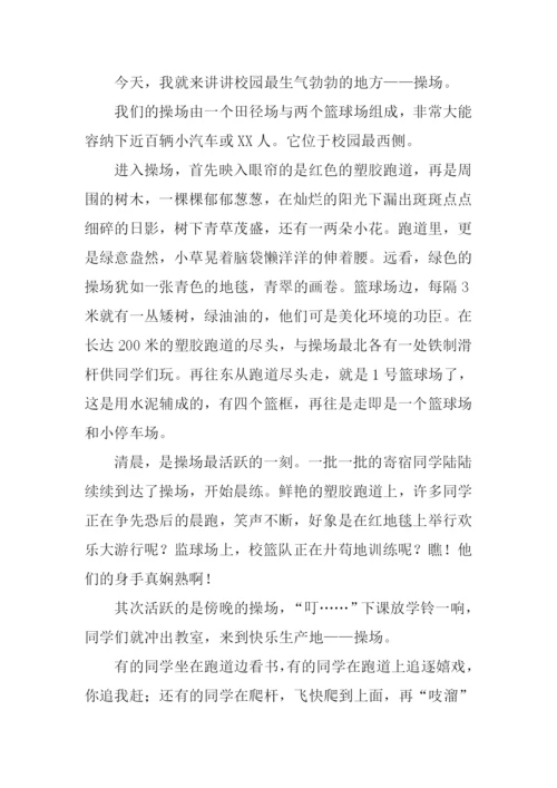 四年级作文公园一角.docx