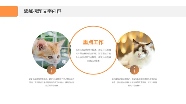 简约风宠物店商业计划书爱宠猫咪PPT模板