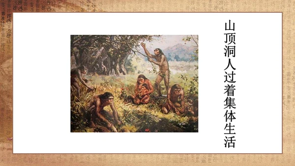 初中历史《人类起源》教学通用PPT课件