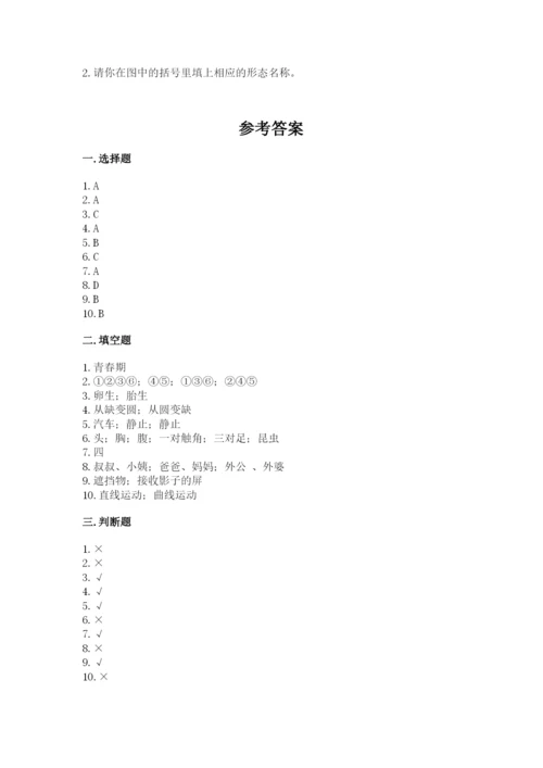 教科版科学三年级下册期末测试卷精品（必刷）.docx