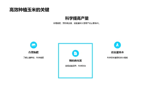 走进科学种植，提升玉米产量