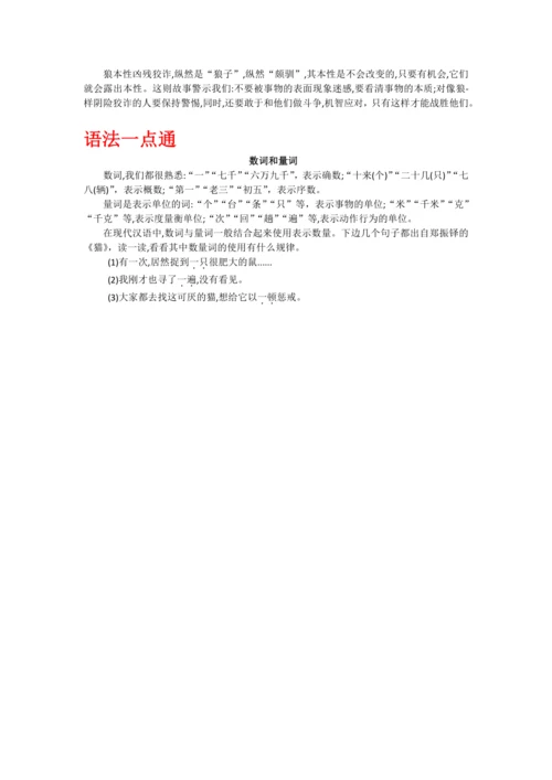 第五单元 第十八课 狼-【教材解读】2022-2023学年人教部编版语文七年级上册