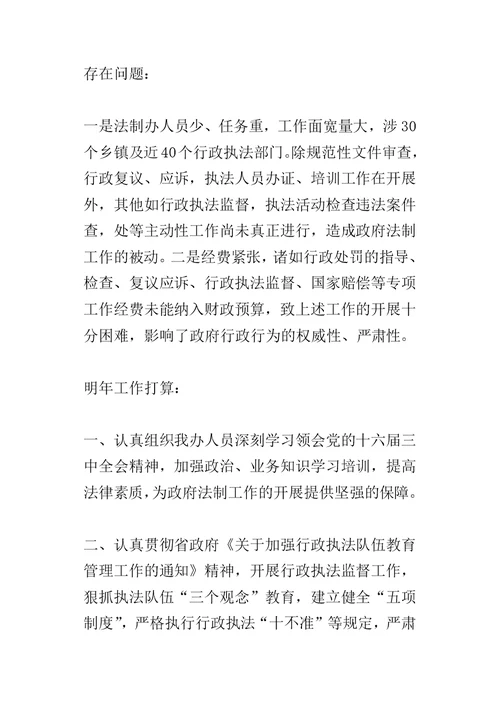 XX县某年度行政执法责任制工作自查报告