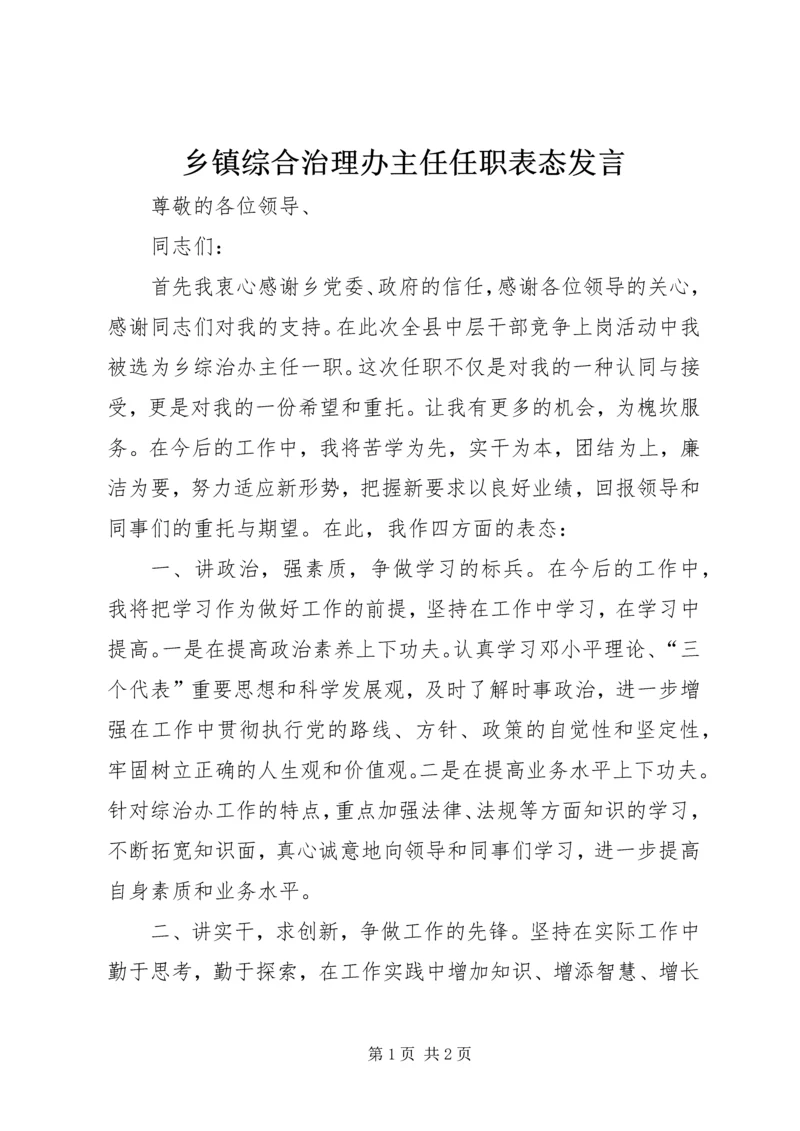 乡镇综合治理办主任任职表态讲话.docx