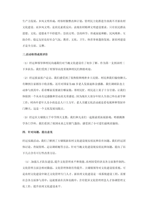 暑期三下乡调研研究报告.docx
