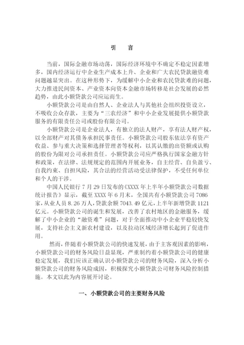 我国小额贷款公司财务风险探讨--毕业论文设计.docx