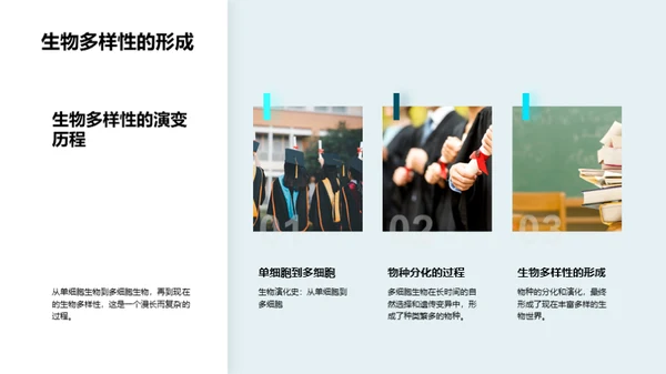 探索生物演化之谜