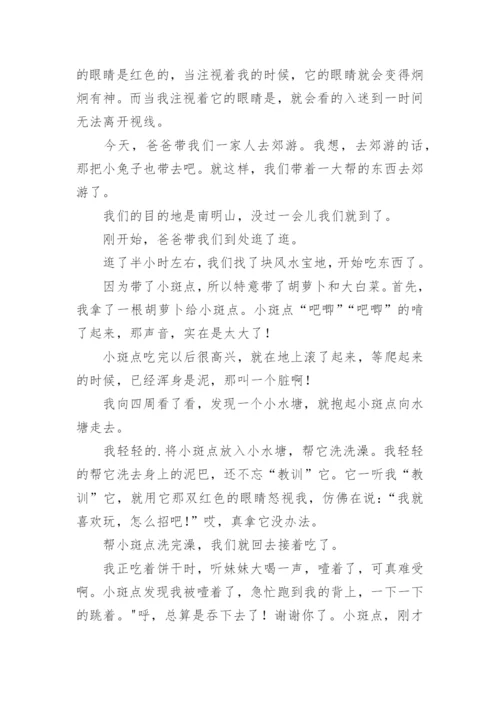 我喜欢的小动物兔子作文.docx