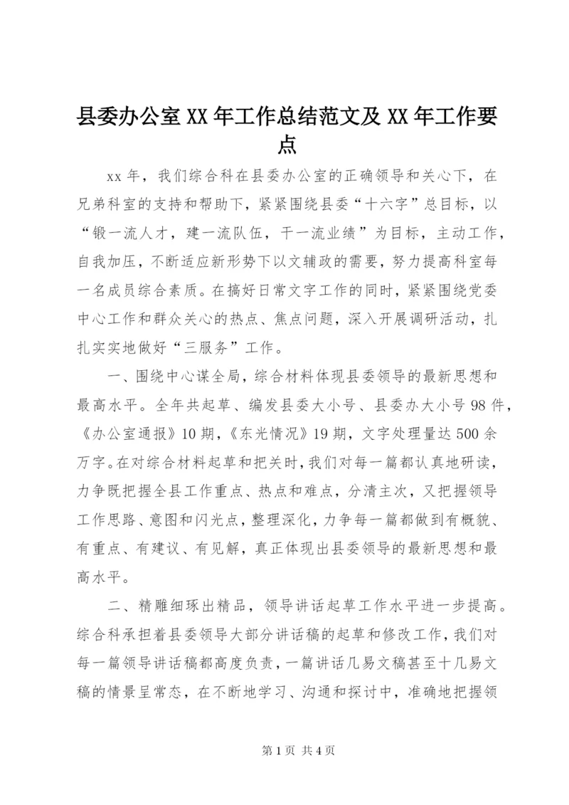 县委办公室某年工作总结范文及某年工作要点.docx